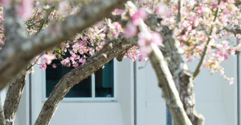 Campus scene